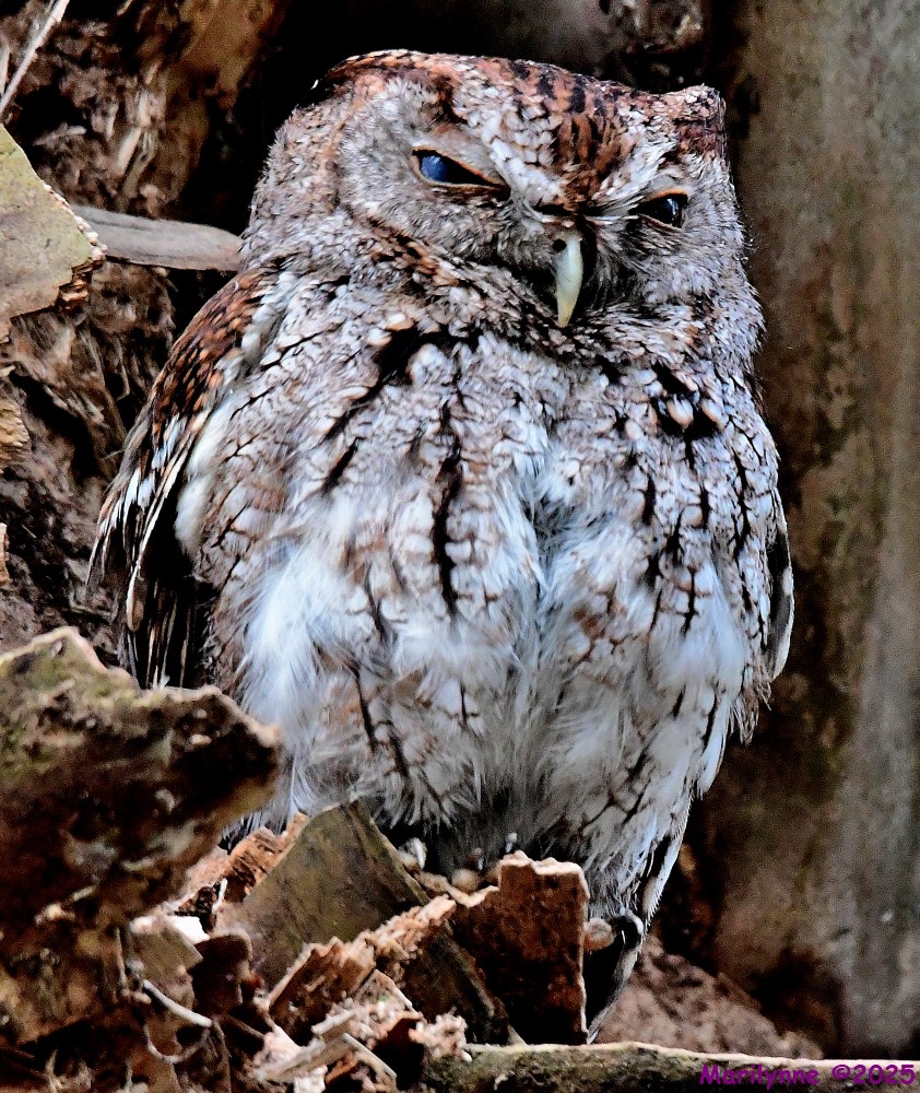DSC_8271_001.JPG