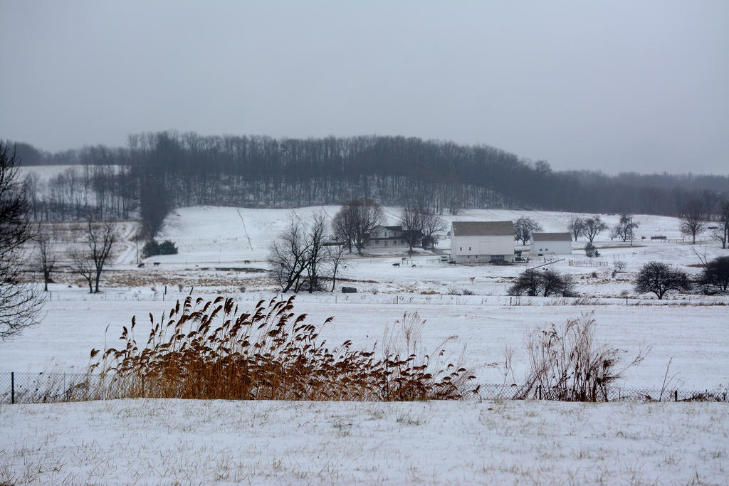 DSC_8273.jpg