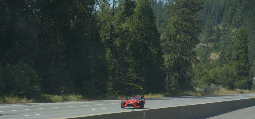 DSC_8274.JPG
