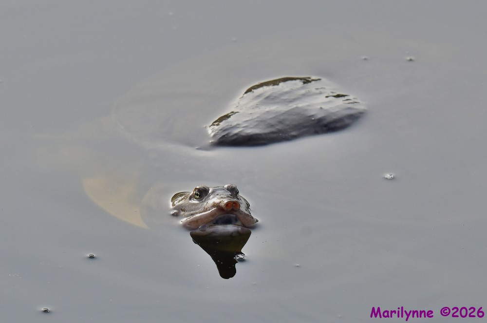 DSC_8276_001.JPG