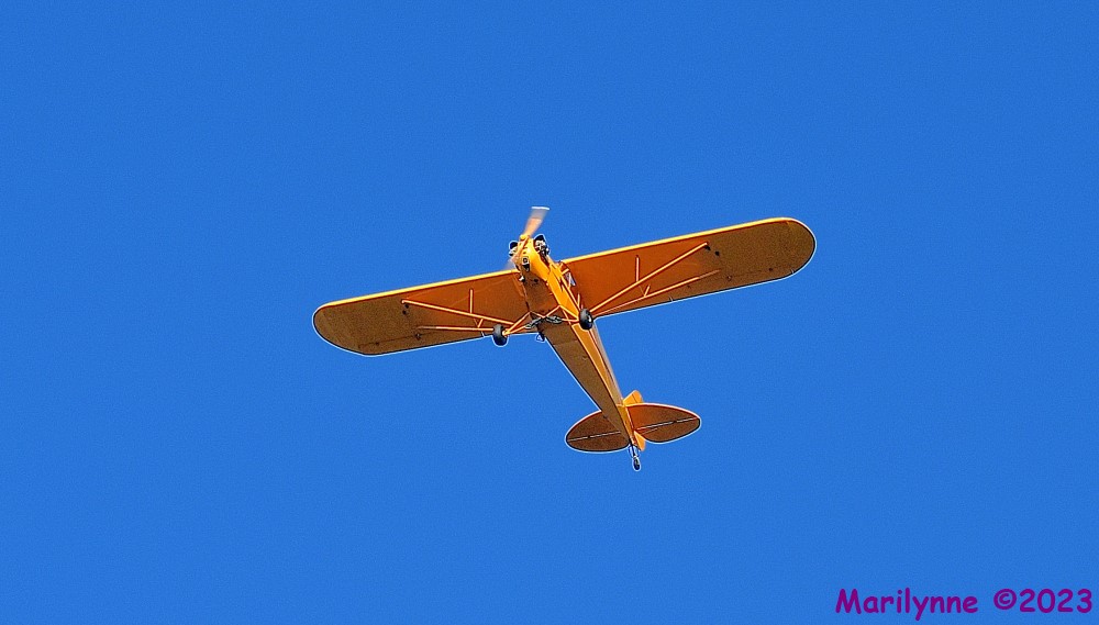 DSC_8278_001.JPG