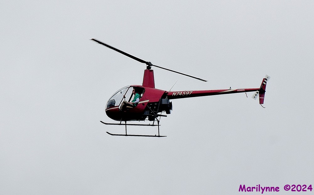DSC_8279_001.JPG