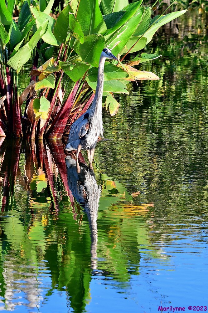 DSC_8285_001.JPG