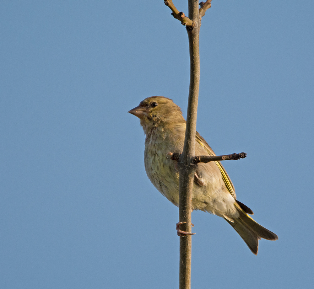 DSC_8289.jpg