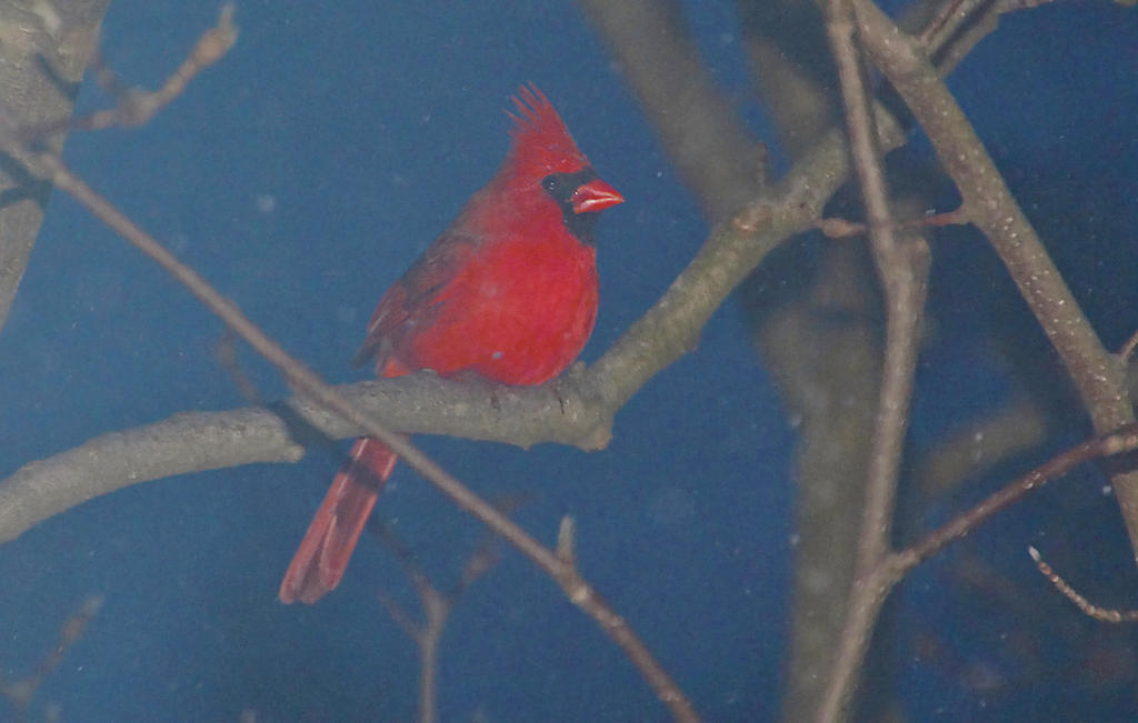 DSC_8290.jpg