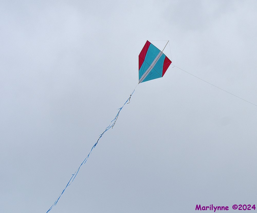 DSC_8290_001.JPG