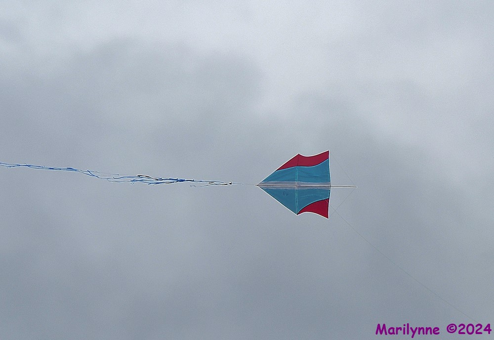 DSC_8293_001.JPG