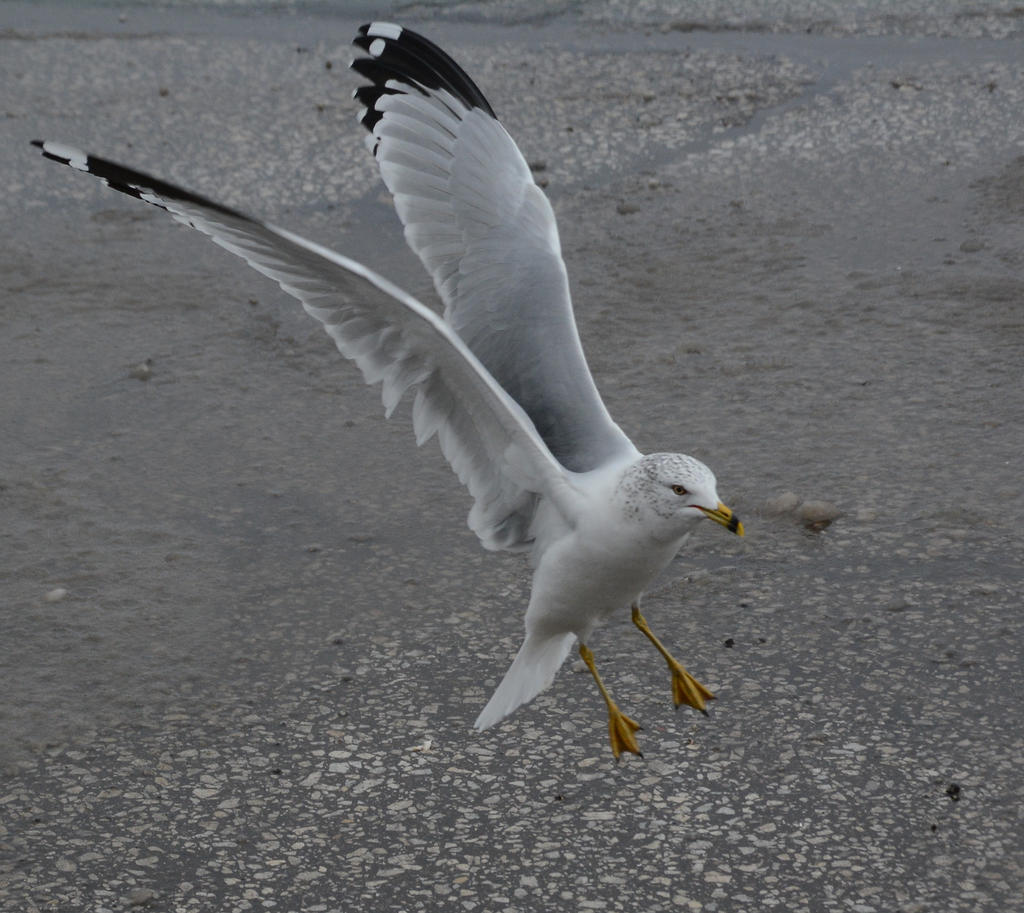 DSC_8295.jpg