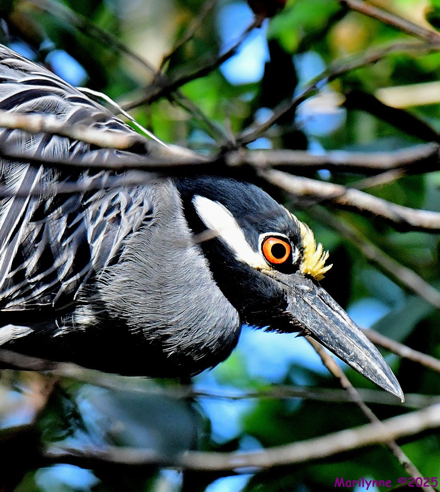 DSC_8296_001.JPG