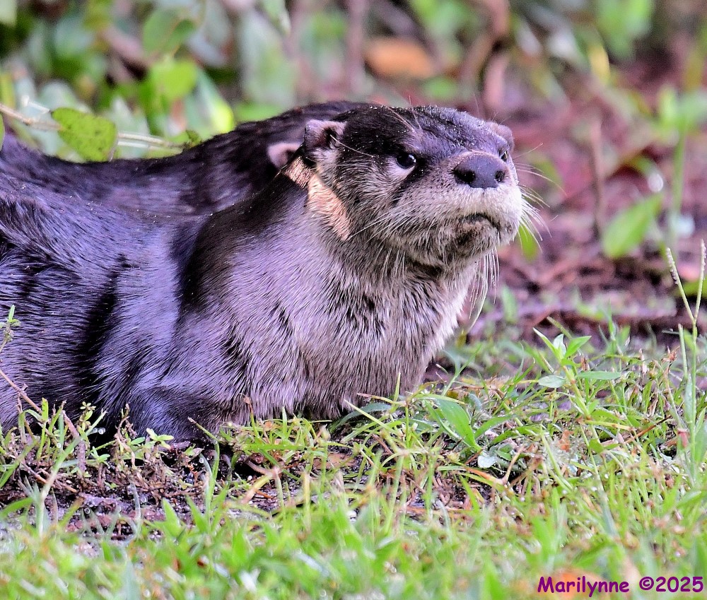 DSC_8300_001.JPG
