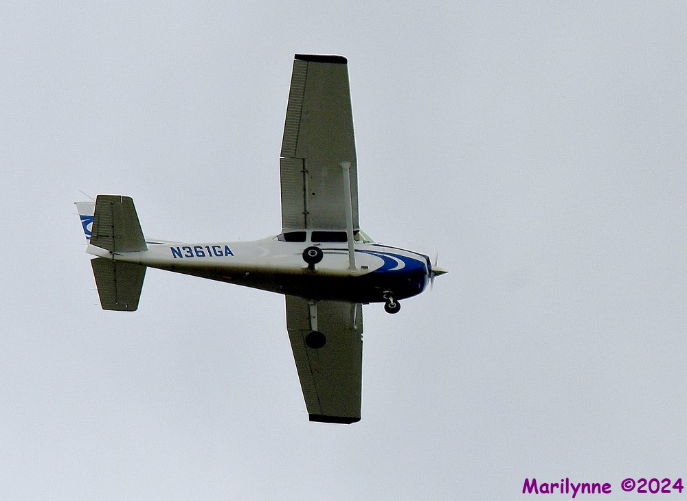 DSC_8301_001.JPG