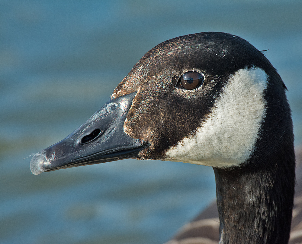 DSC_8305.jpg