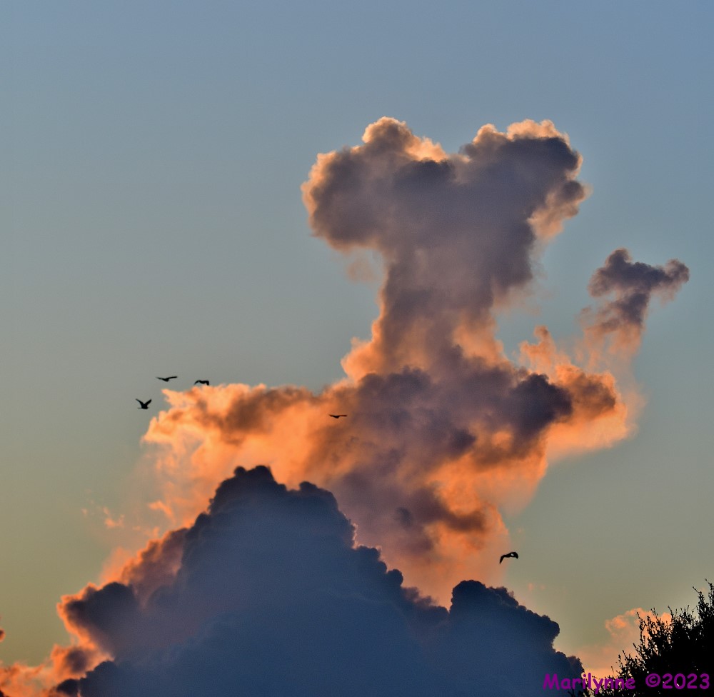 DSC_8305_stitch4_001.JPG