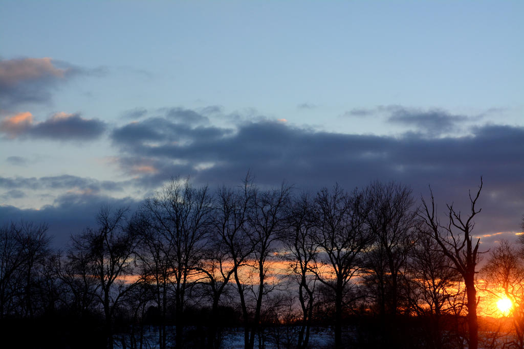 DSC_8307.jpg