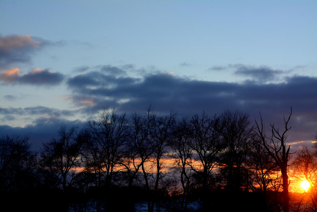 DSC_8307.jpg