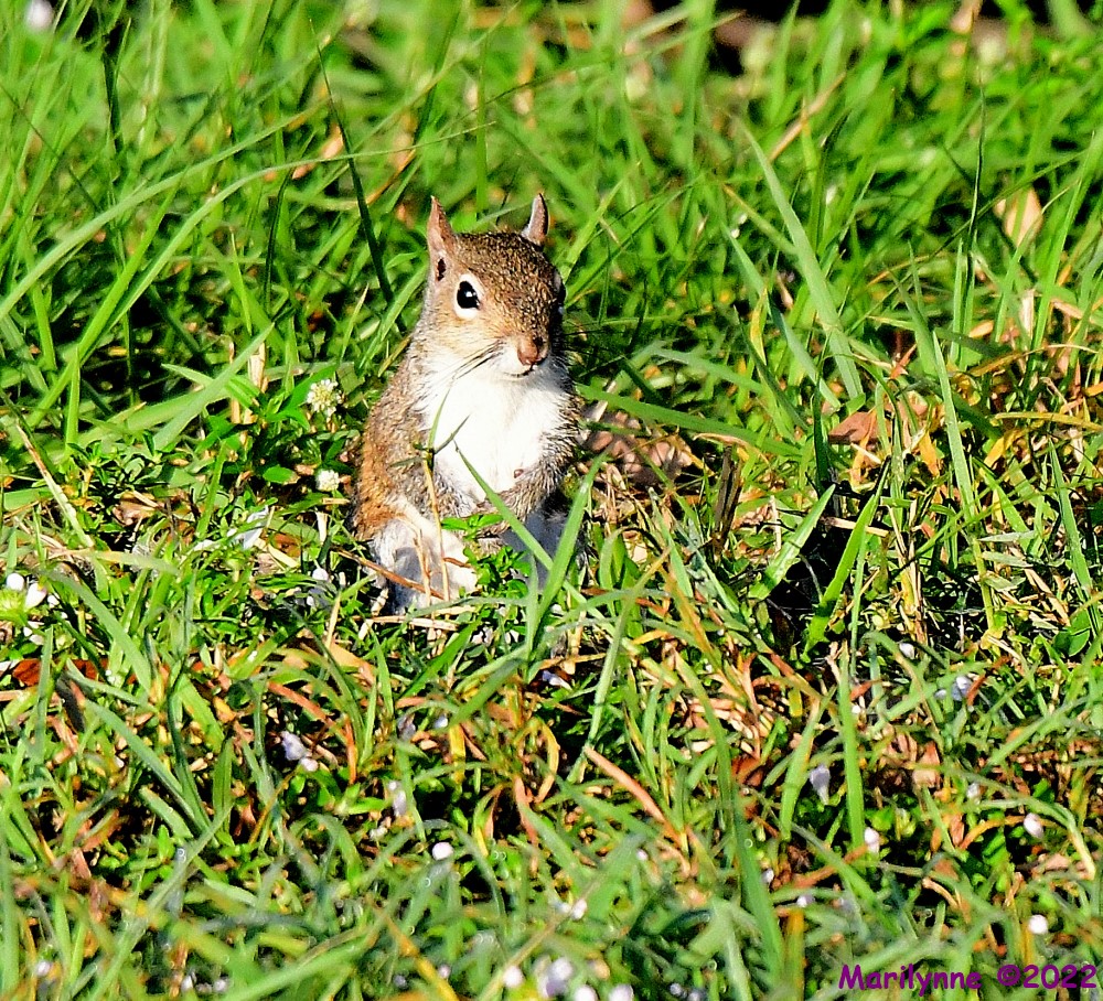 DSC_8307_001.JPG