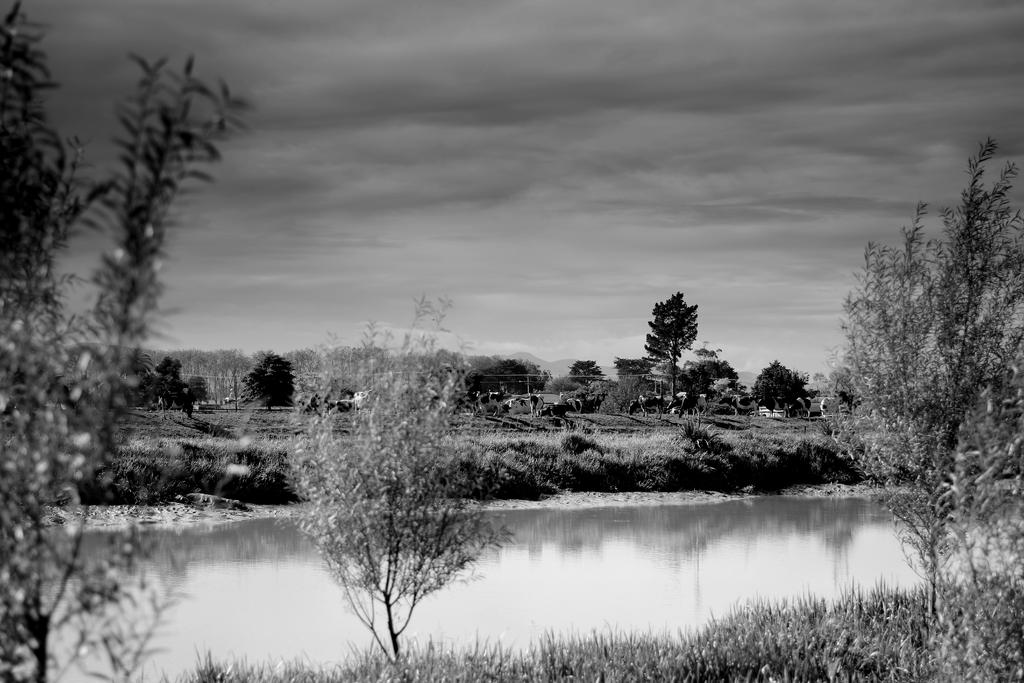 DSC_8308 e.jpg