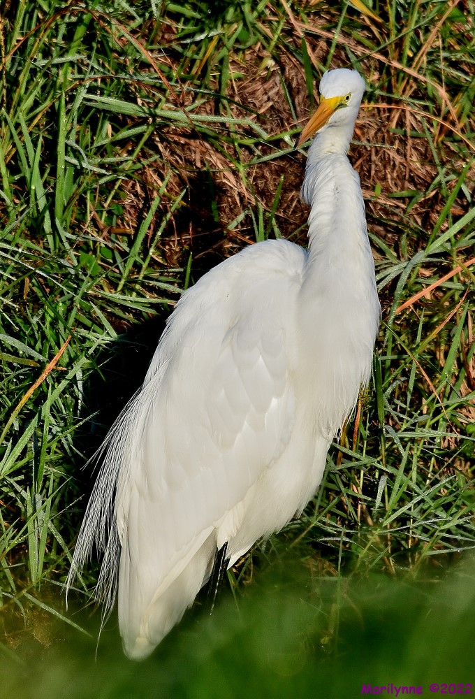 DSC_8310_001.JPG