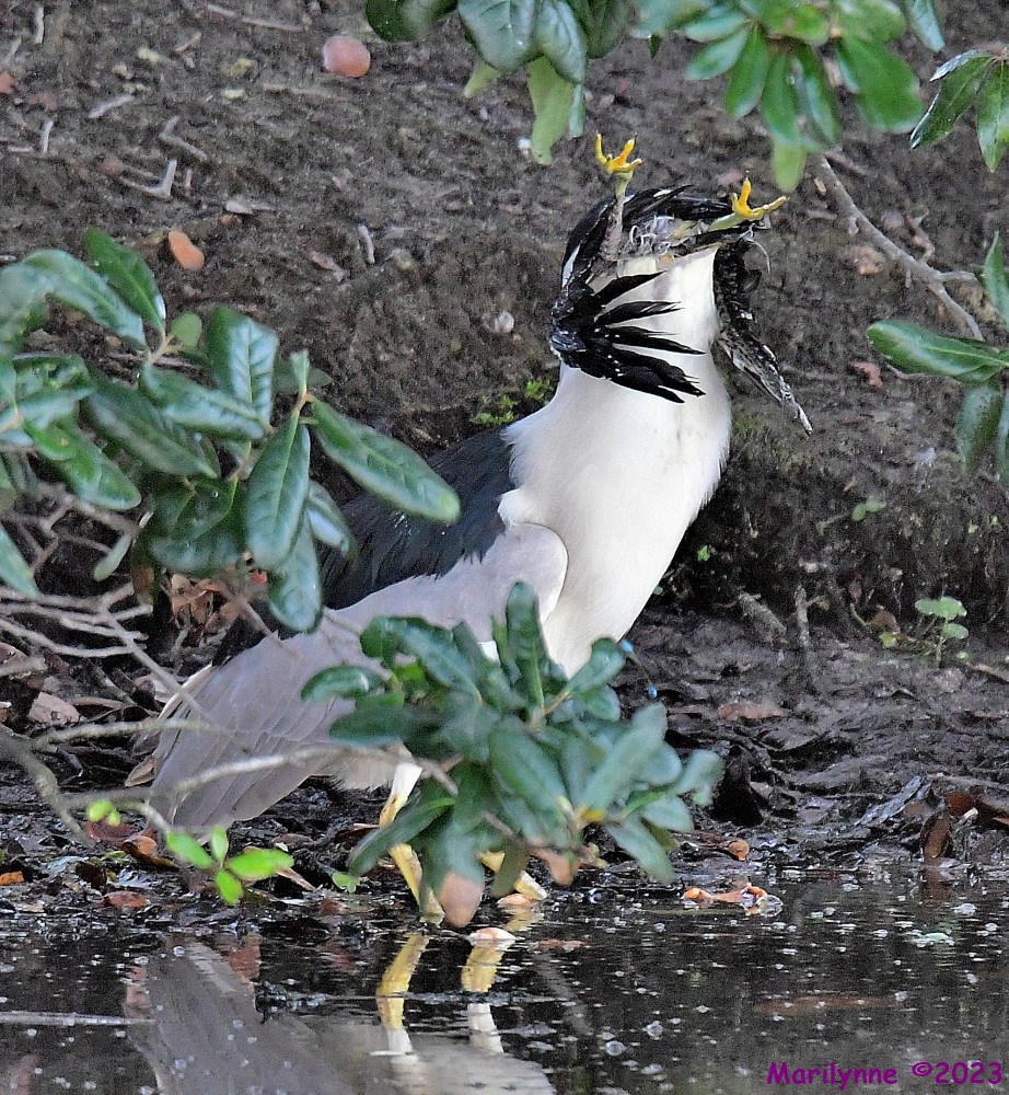 DSC_8311_001.JPG