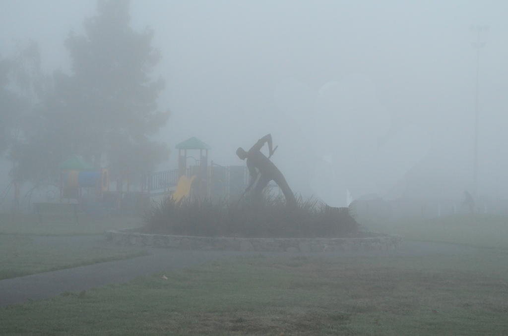 DSC_8313.jpg