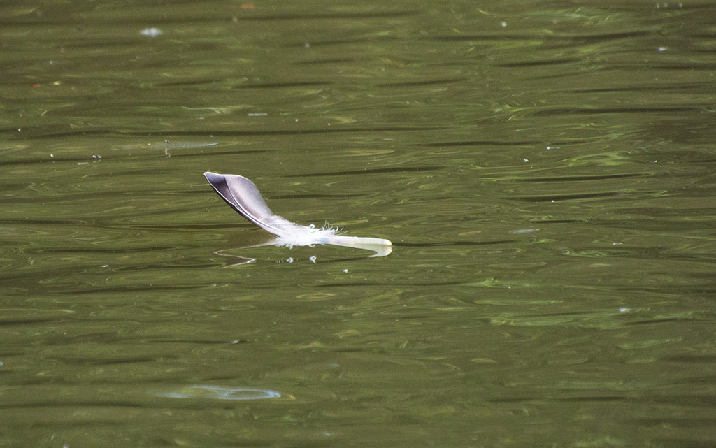 DSC_8314.jpg