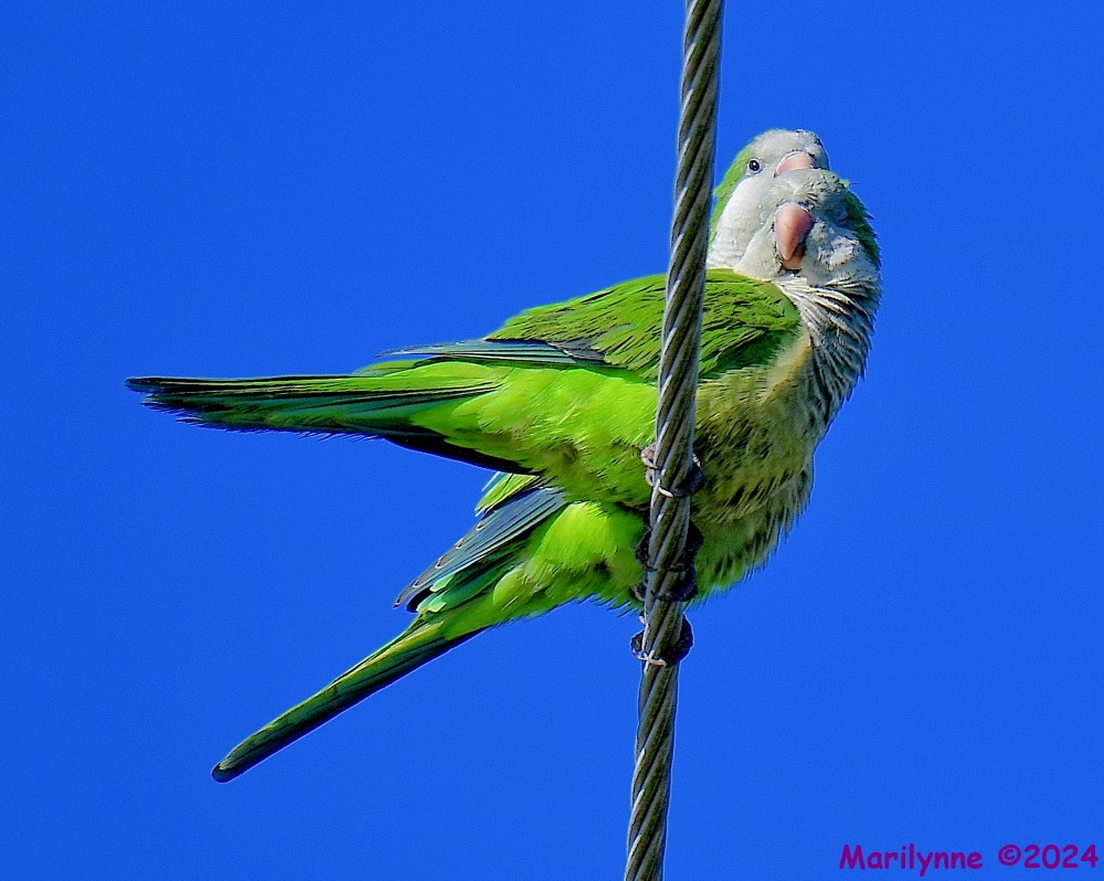 DSC_8314_001.JPG
