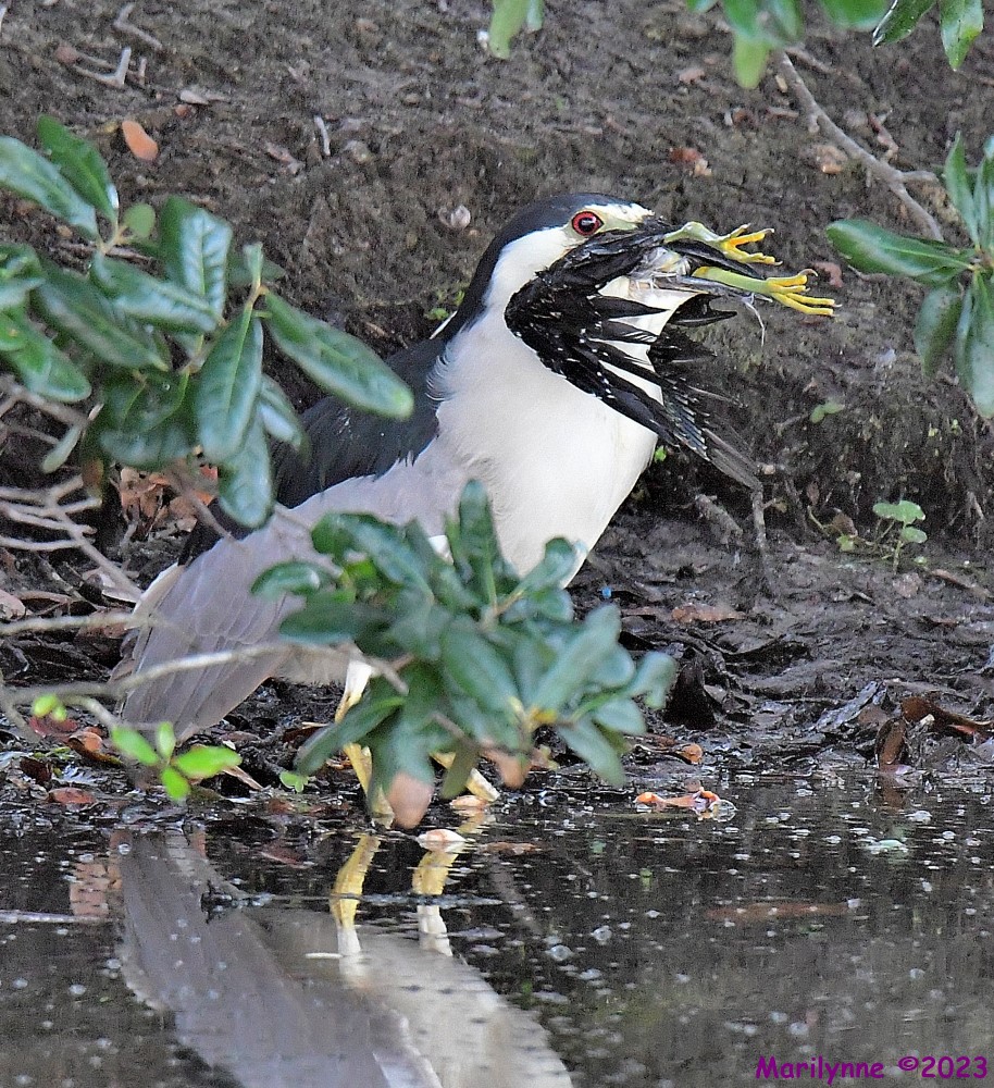 DSC_8315_001.JPG