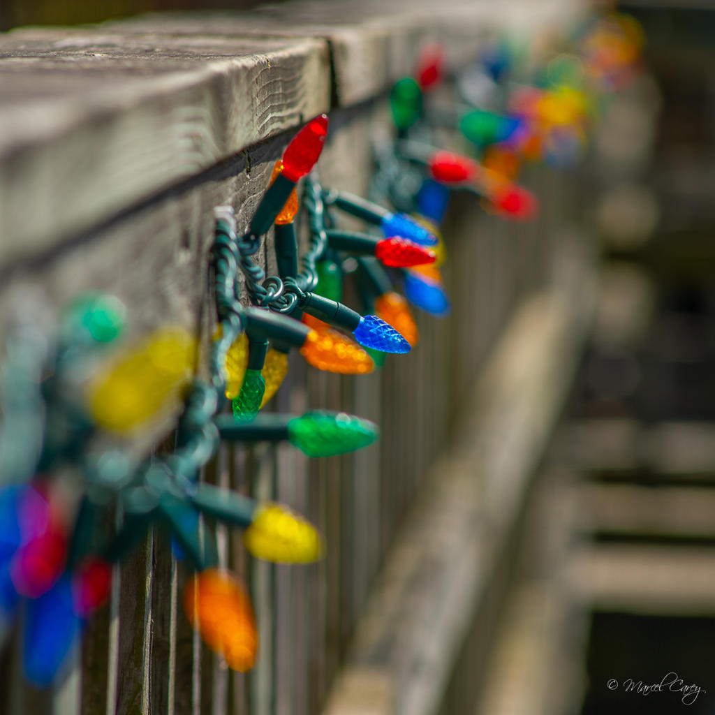 DSC_8316.jpg