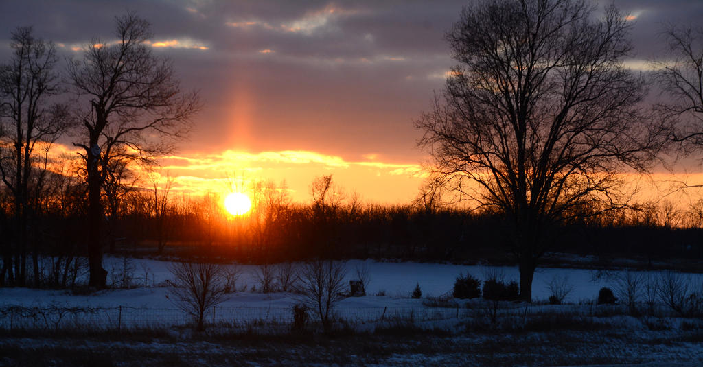 DSC_8318.jpg