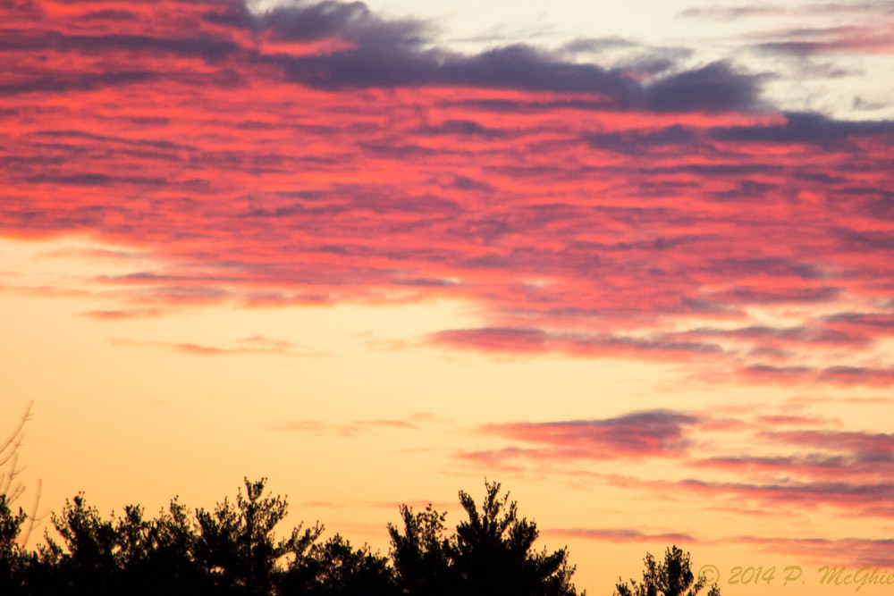 DSC_8319.jpg
