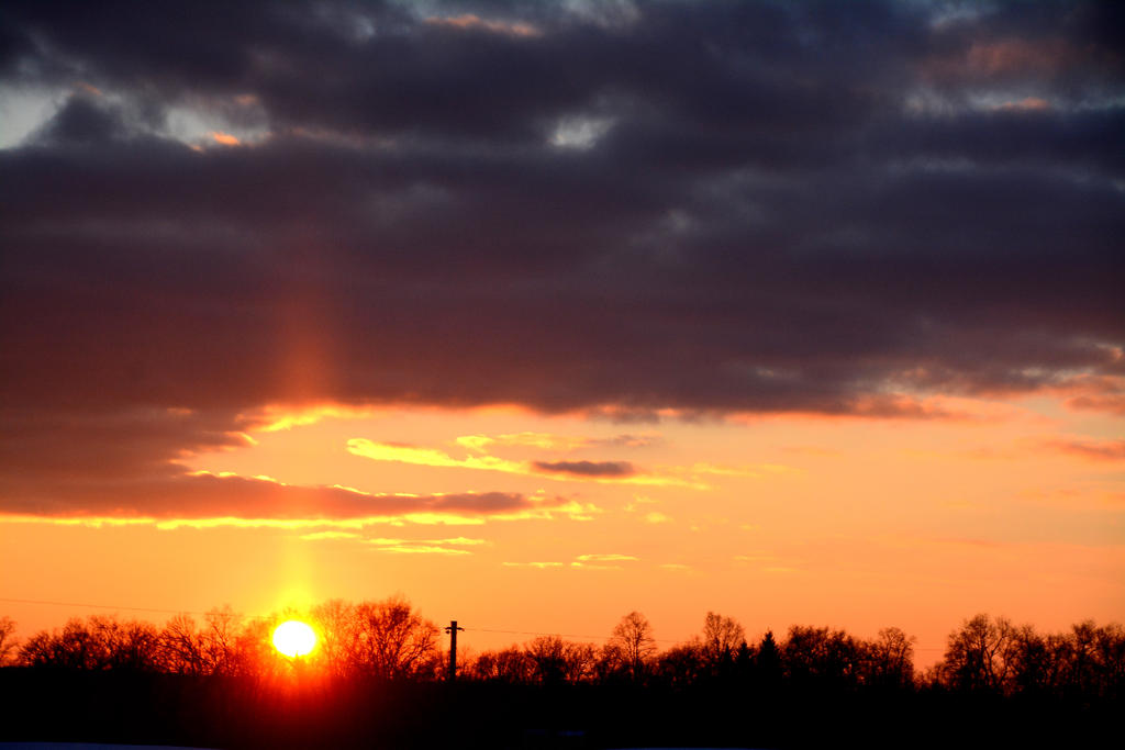 DSC_8324.jpg