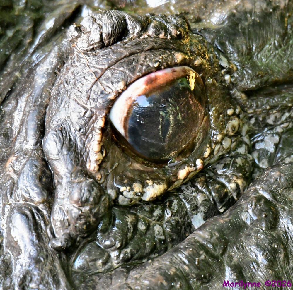 DSC_8324_001.JPG