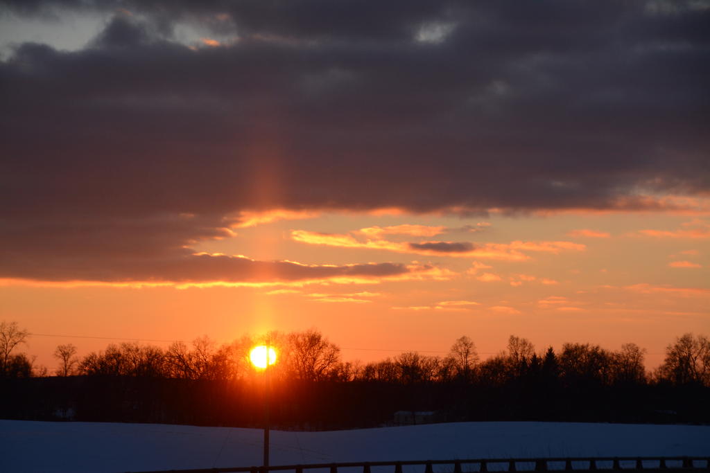 DSC_8325.jpg