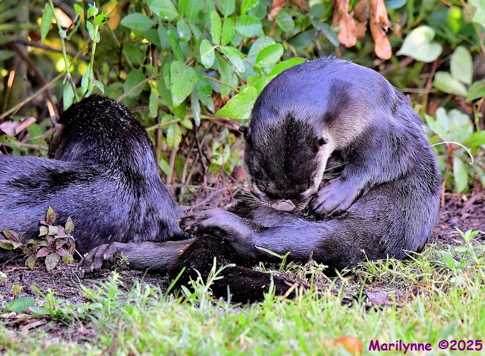 DSC_8326_001.JPG