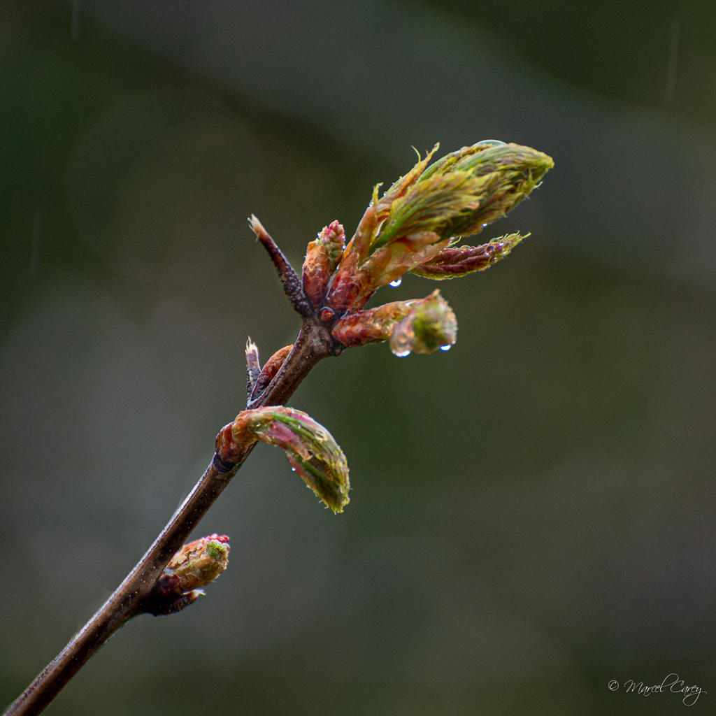 DSC_8328.jpg