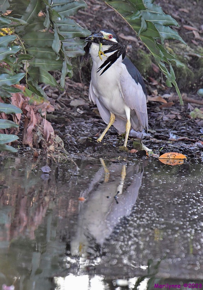 DSC_8345_stitch_001.JPG
