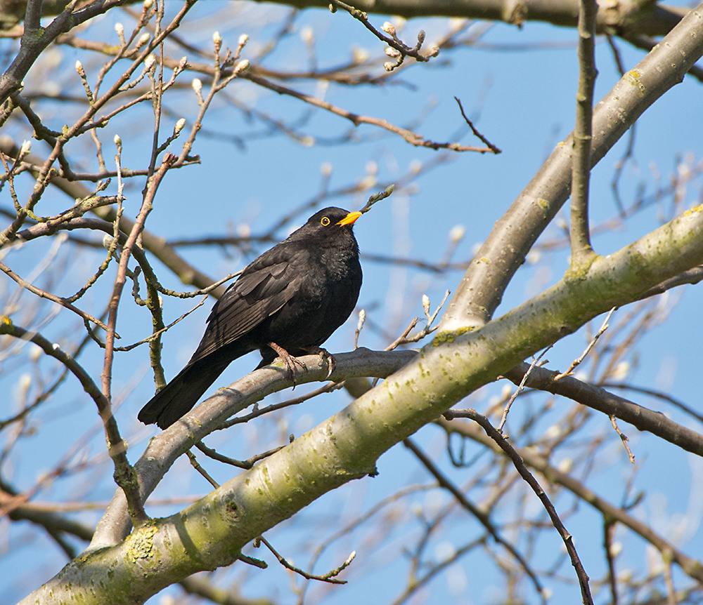 DSC_8346.jpg