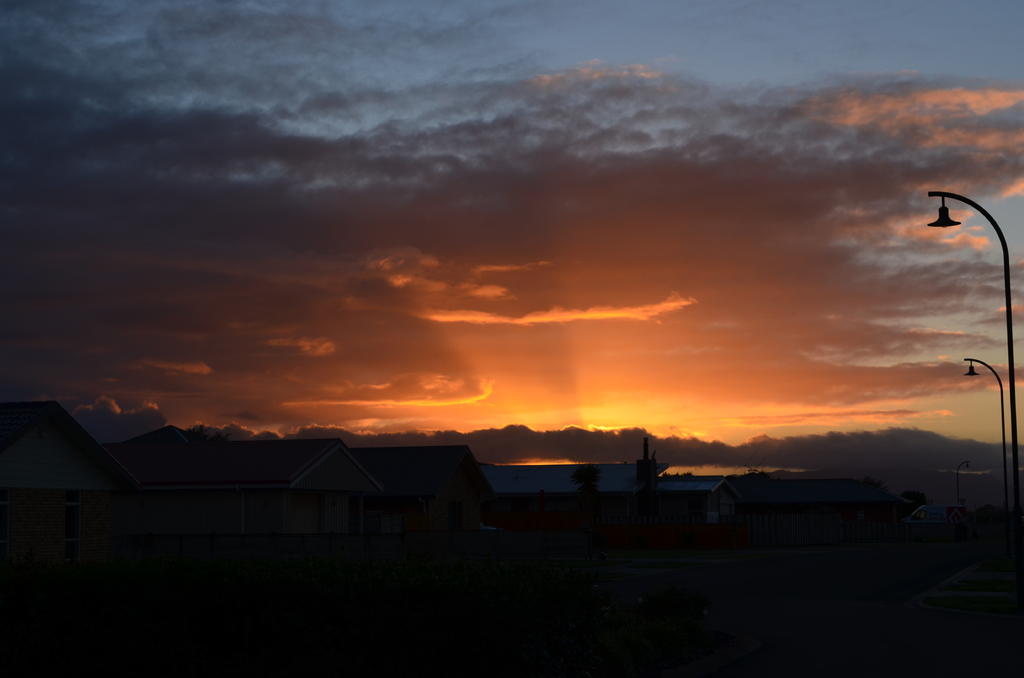 DSC_8347.jpg