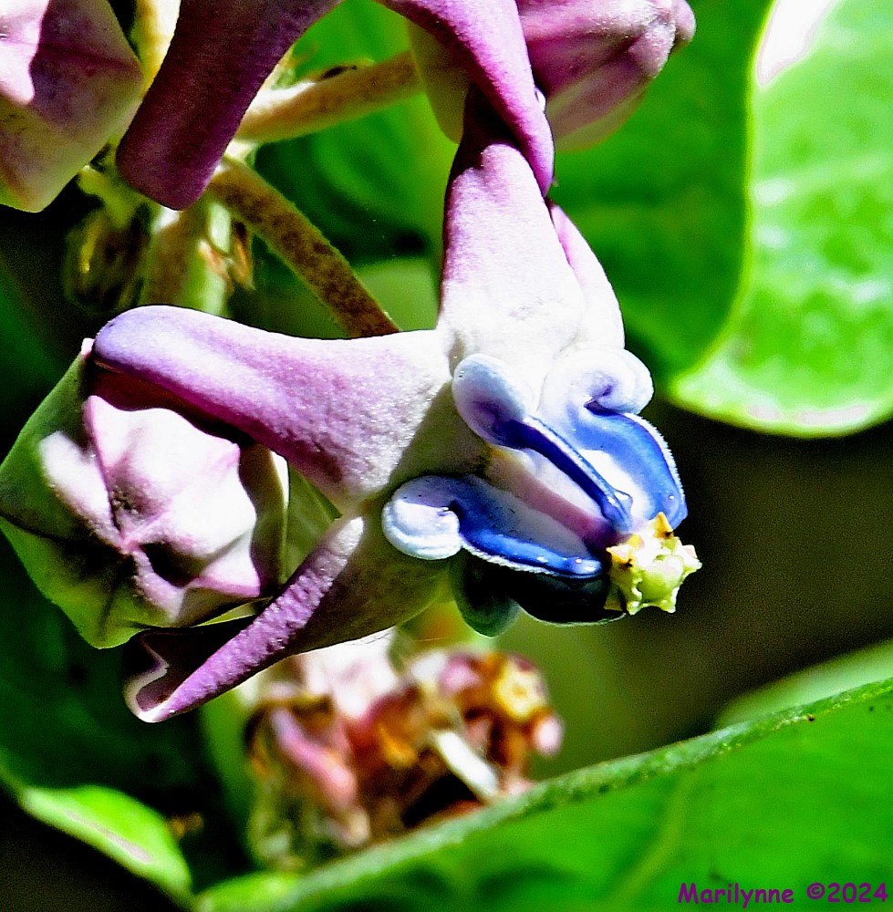 DSC_8348_001.JPG