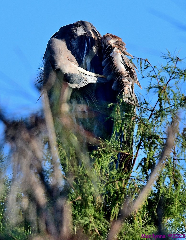 DSC_8350_001.JPG