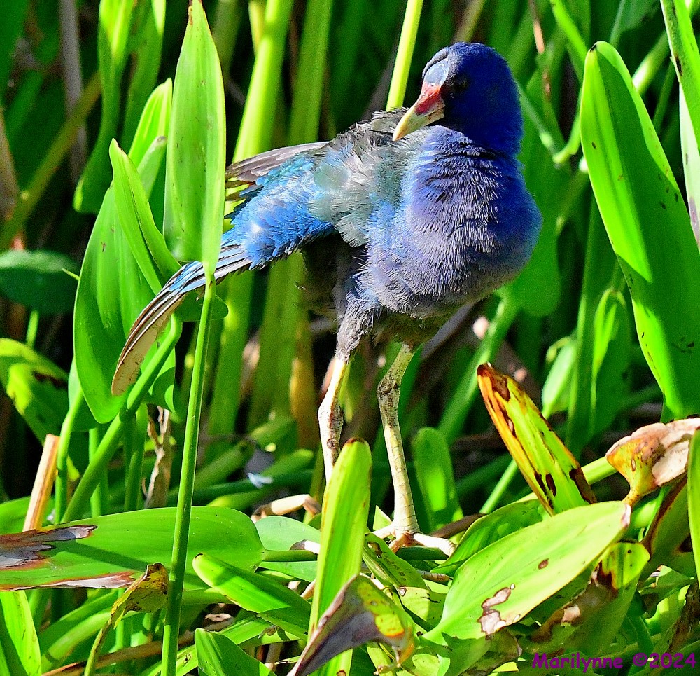 DSC_8353_001.JPG