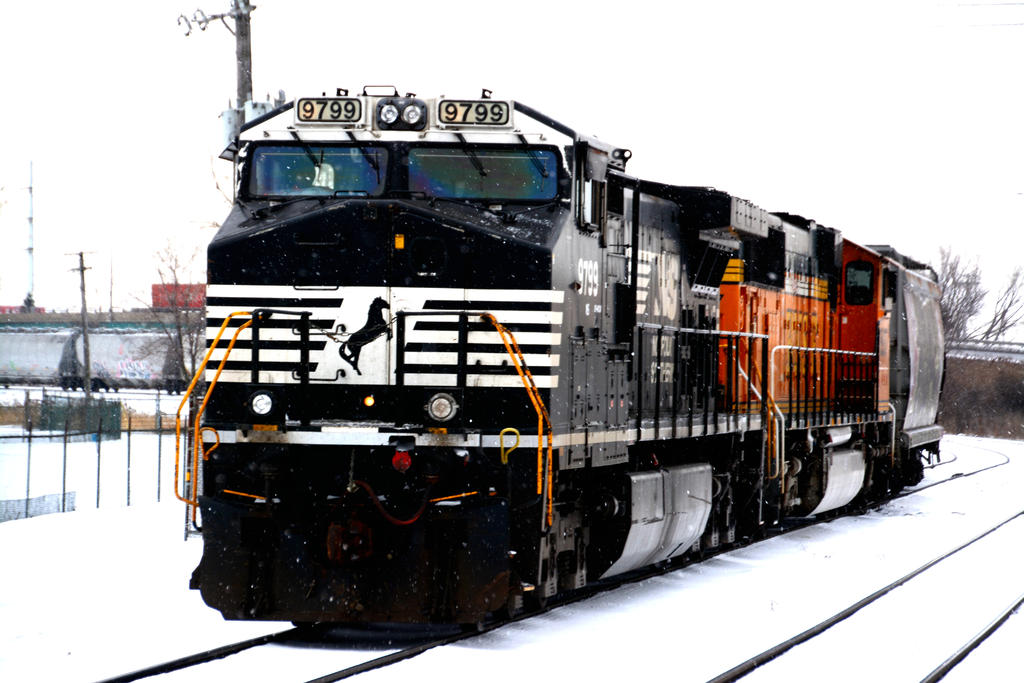 DSC_8354.jpg