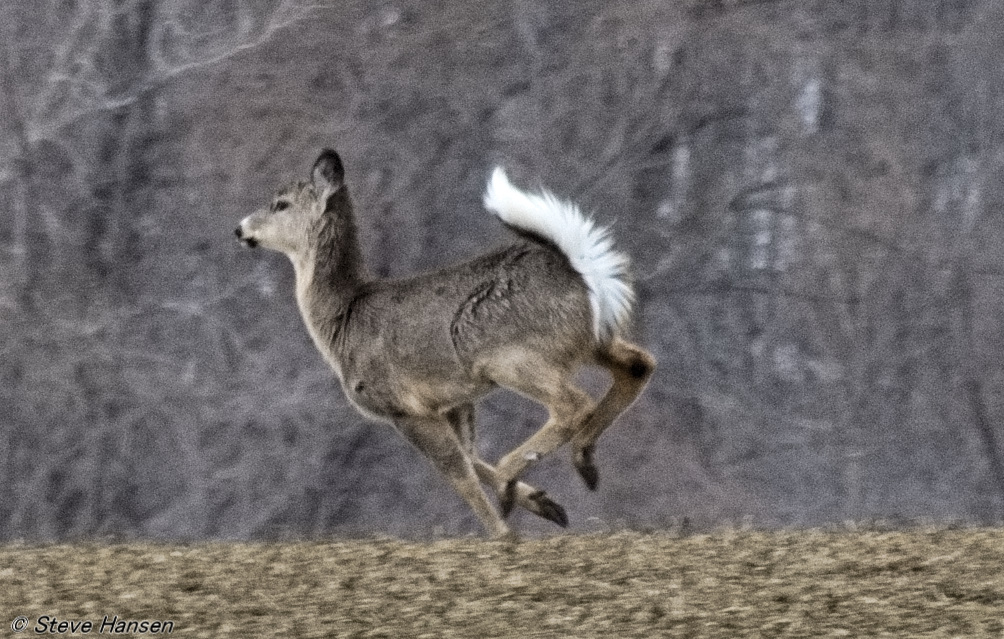 DSC_8356.jpg