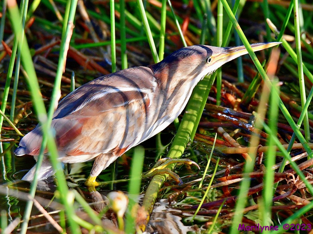 DSC_8359_001.JPG