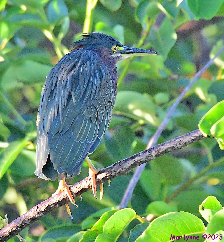 DSC_8359_001.JPG