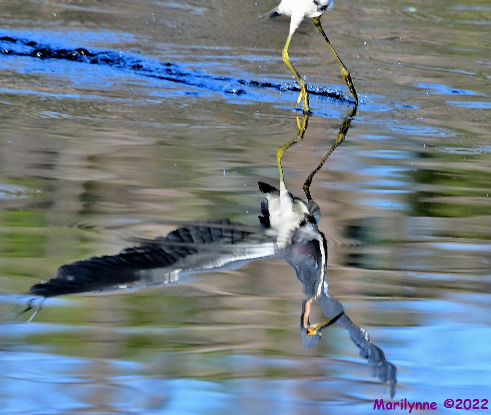 DSC_8361_001.JPG