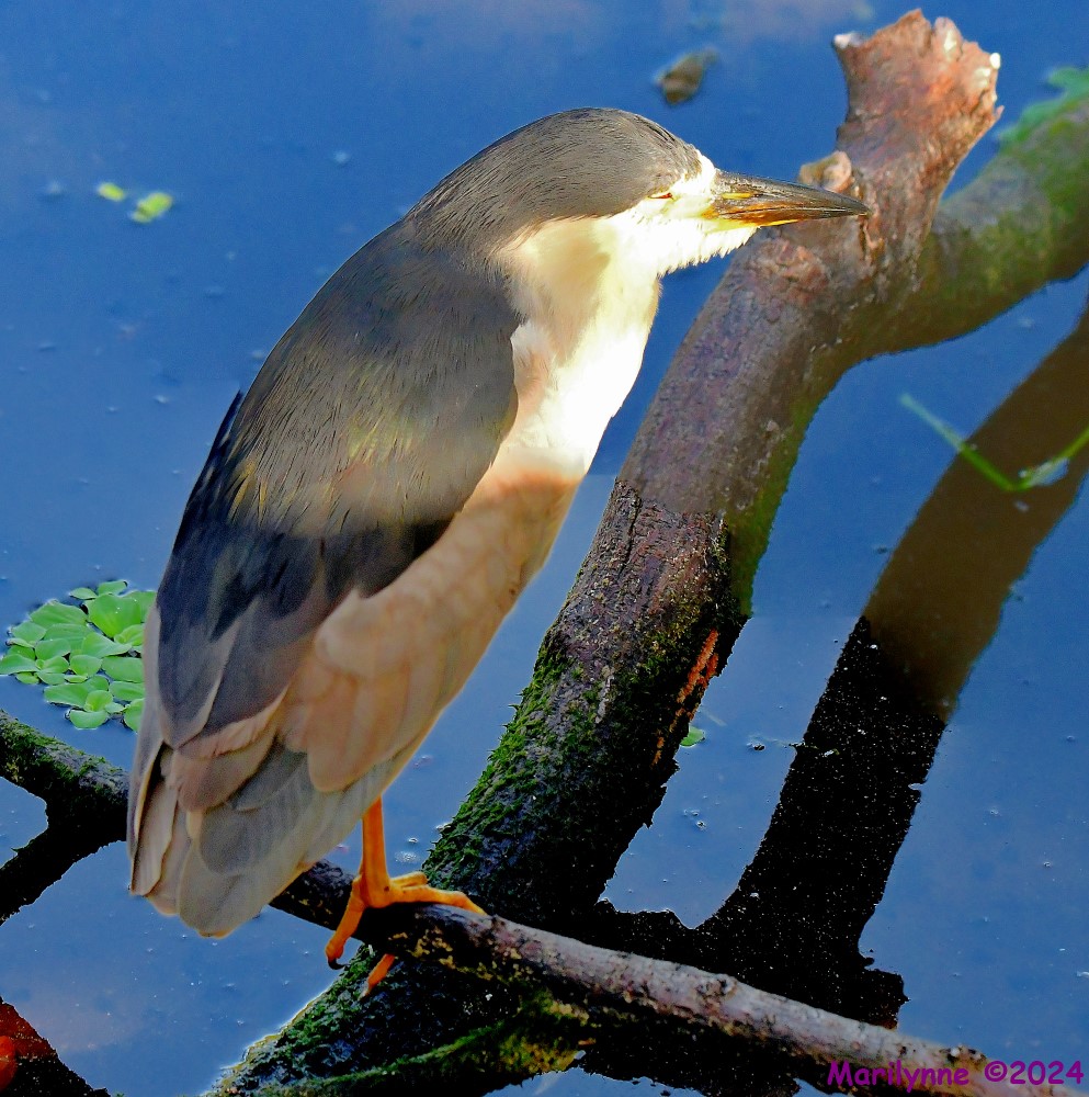 DSC_8361_stitch_001.JPG