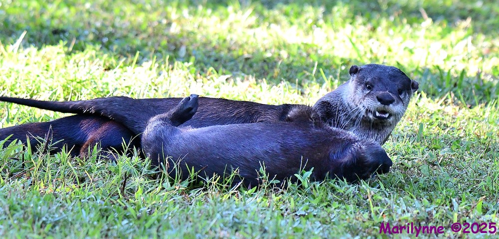 DSC_8362_001.JPG