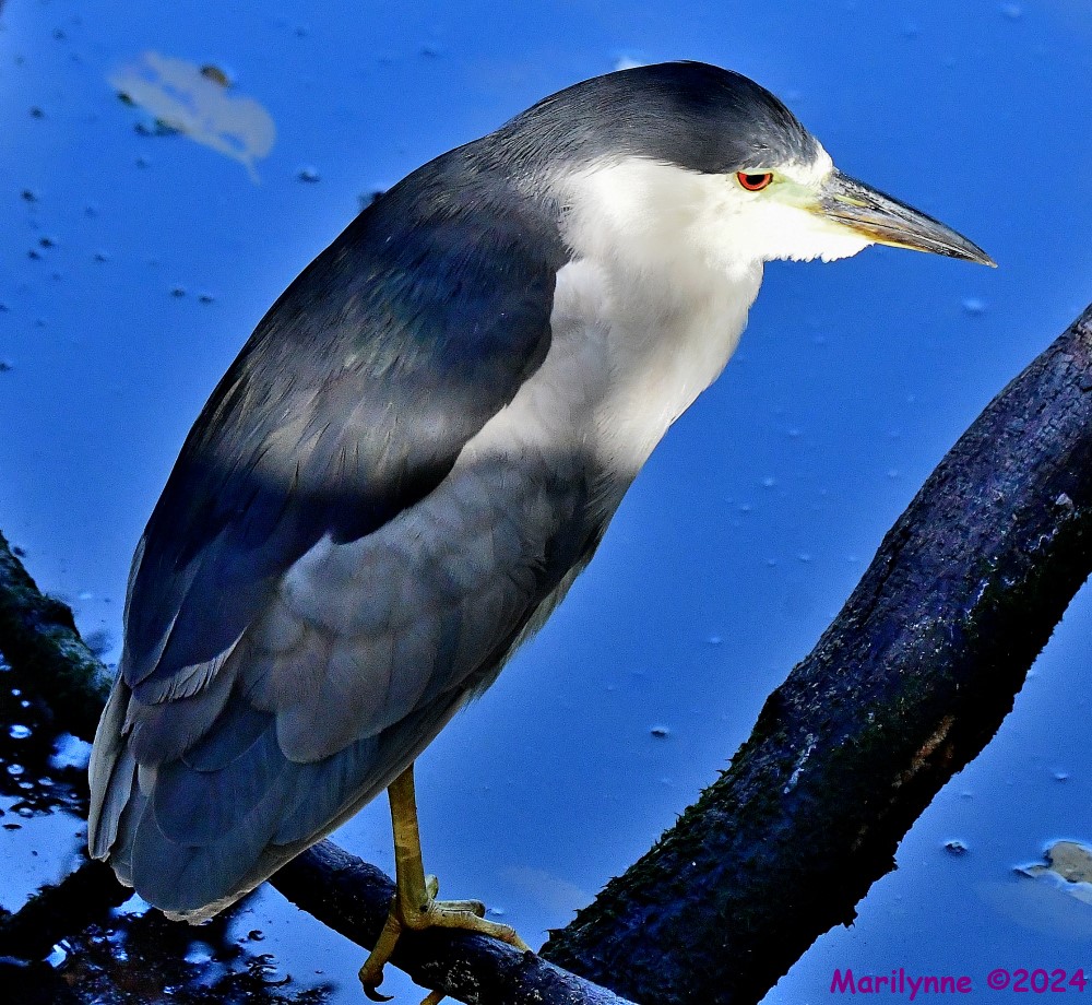 DSC_8365_001.JPG