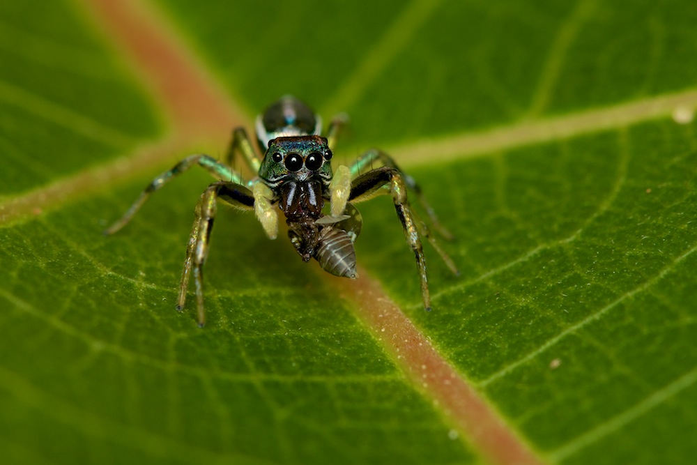 DSC_8366.jpg